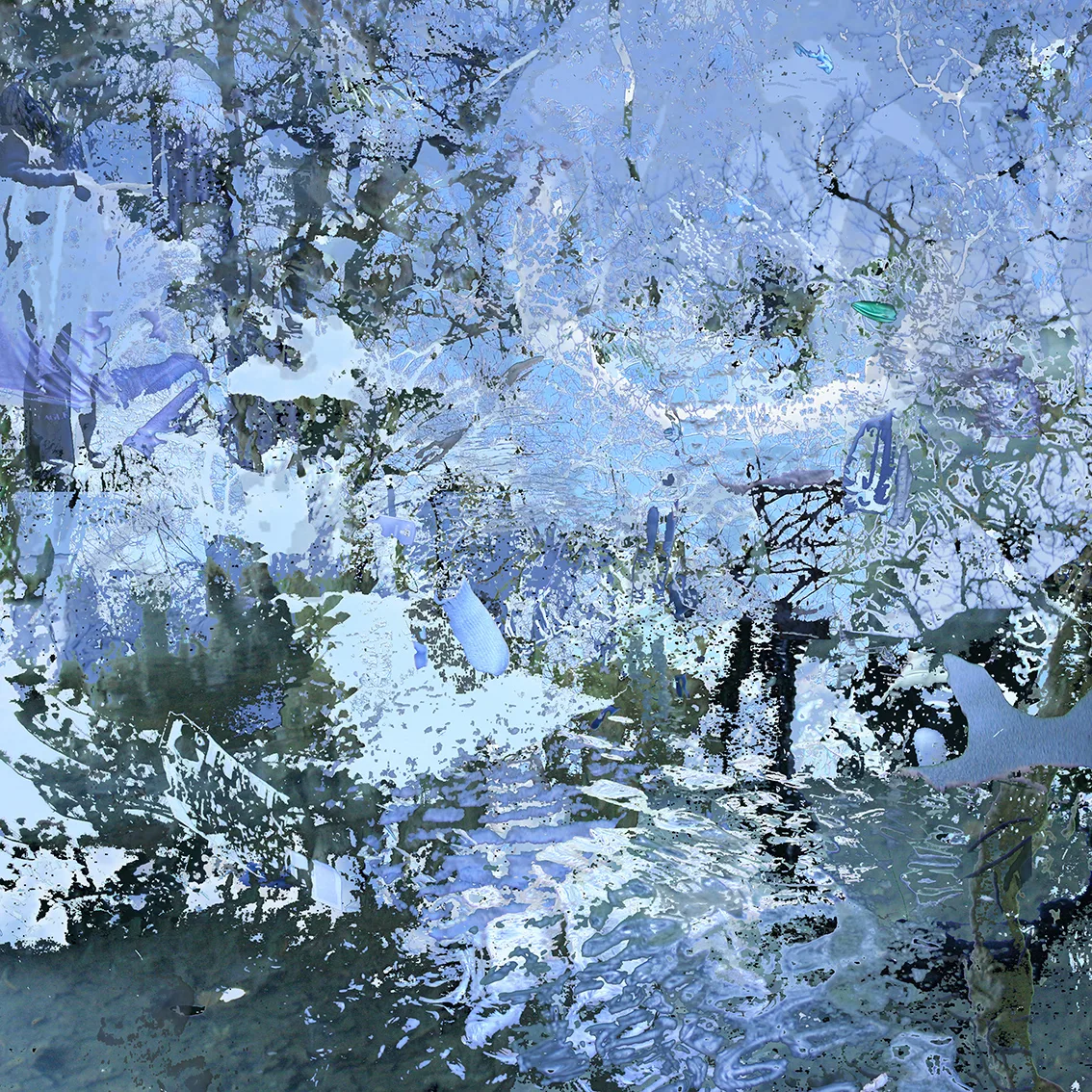 All the blue things I have seen in a week 