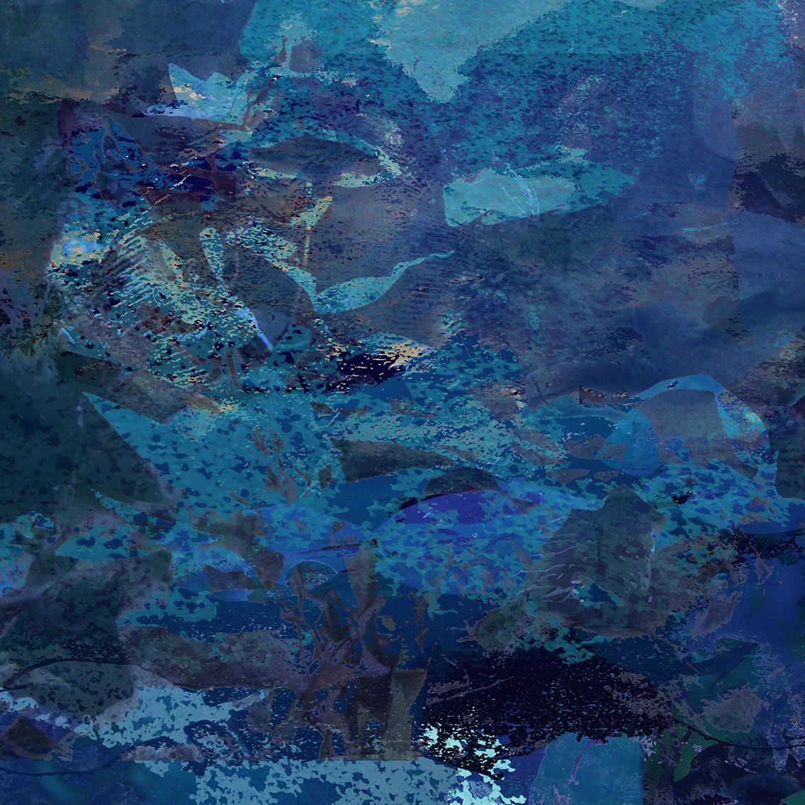 All the blue things I have seen in a week 