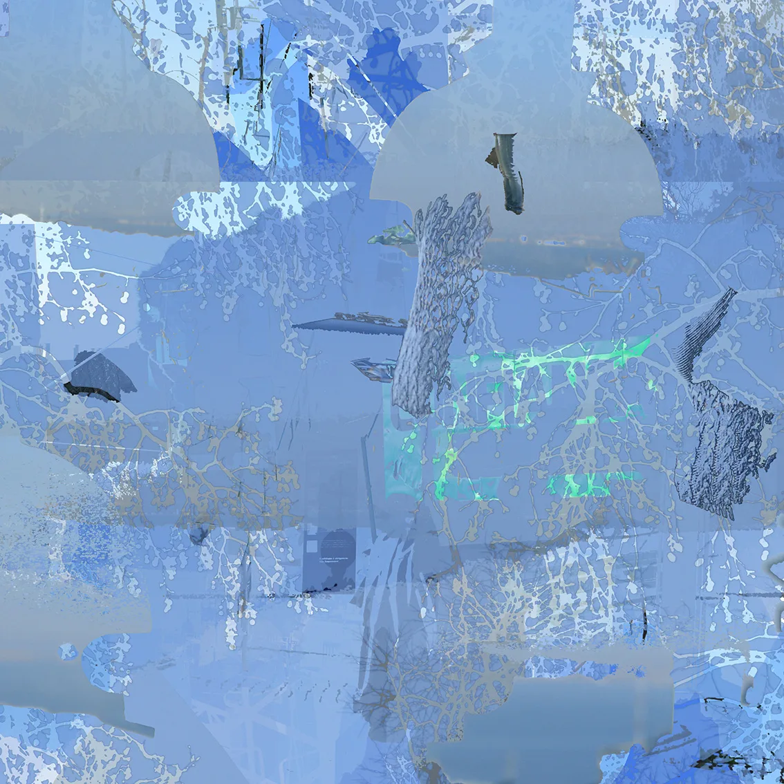 All the blue things I have seen in a week 